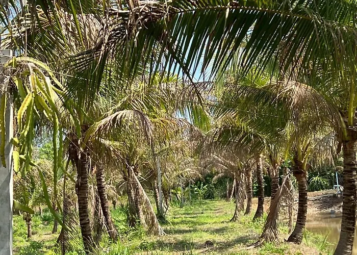Holiday home Coco Farm Suanphueng *