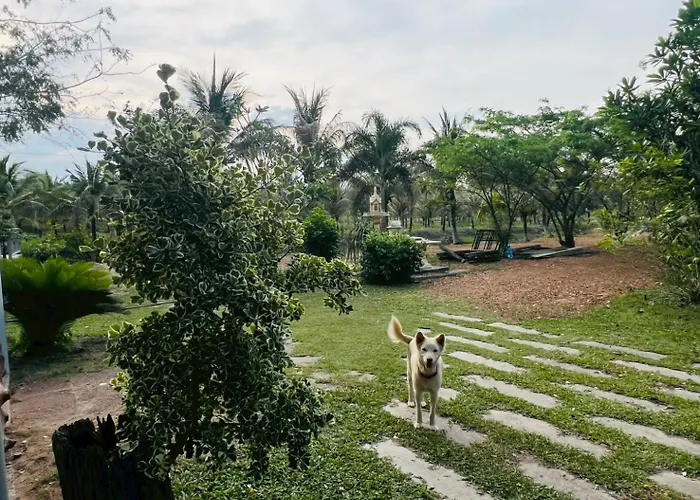 Coco Farm Suanphueng
