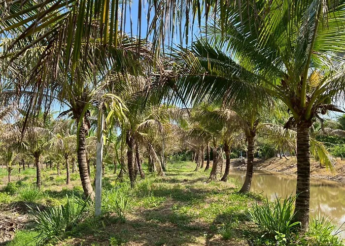 Coco Farm Suanphueng