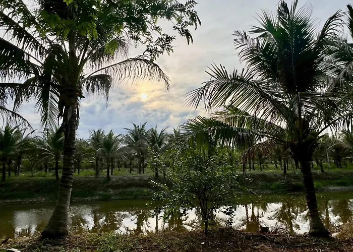 Coco Farm Suanphueng
