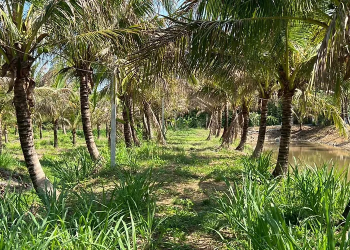 Holiday home Coco Farm Suanphueng *
