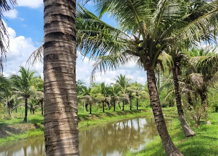 Coco Farm Suanphueng Holiday home